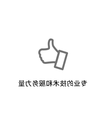专业的技术